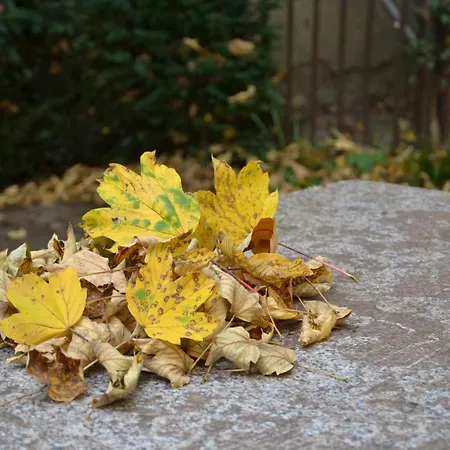 Inside Five Aparthotel