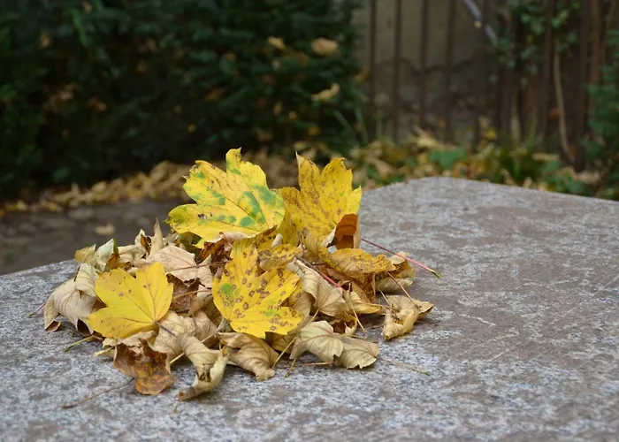 Inside Five Hotel apartamentowy
